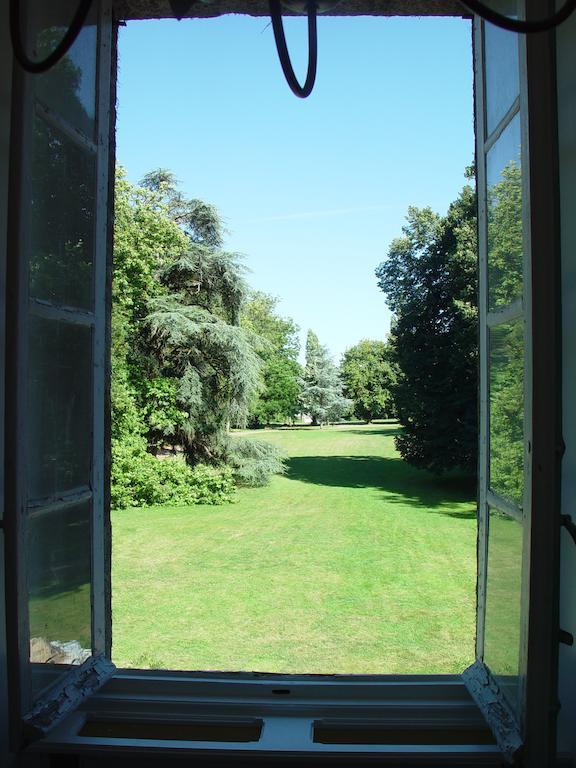 Chateau De La Marronniere Aizenay Exteriör bild